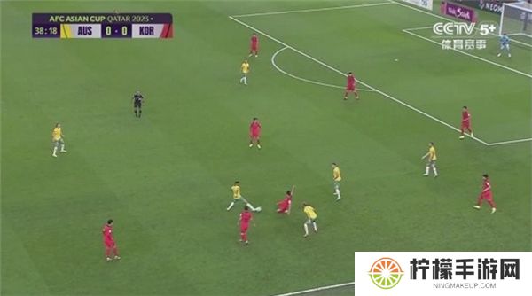 飞龙电视下载
