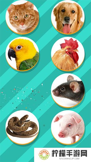 pettranslator动物语言翻译器