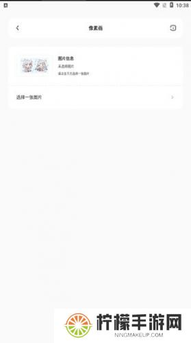 迷你兔子