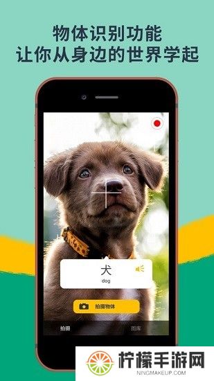 memrise