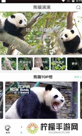 熊猫频道app下载