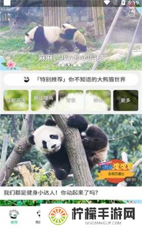 熊猫频道app下载