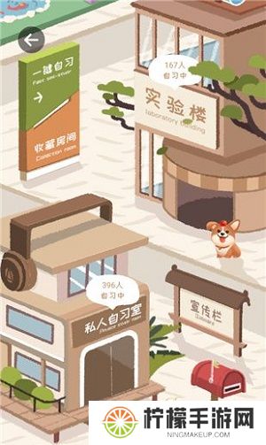 专注崽崽