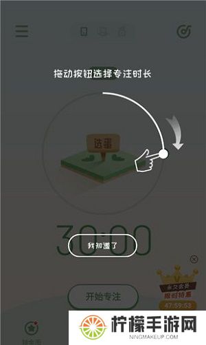 专注崽崽