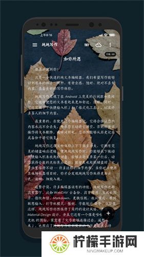 纯纯写作高级版