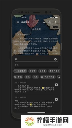 纯纯写作高级版