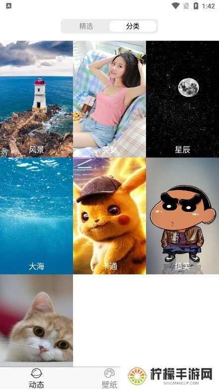 飞花动态壁纸