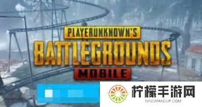和平精英国际服手机版