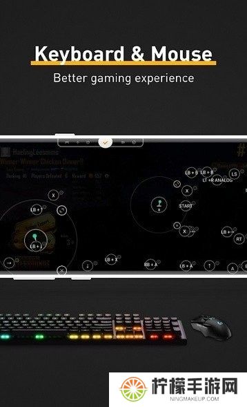 Panda Mouse Pro