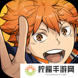 排球少年新的征程 排球少年新的征程