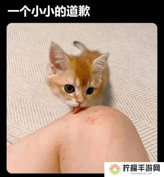 本站